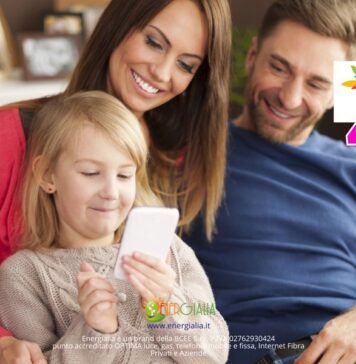 Energialia partner Optima